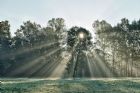 Autore: Luigi Dorigo
Titolo: luce ai Pal