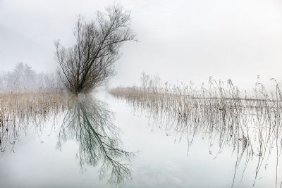 Autore: Luigi DorigoTitolo: Specchio d'acquaAnno: 2014