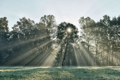 Autore: Luigi DorigoTitolo: luce ai Pal�Anno: 2015