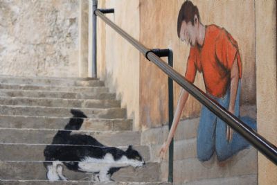 Autore: Alberto Garettini
Titolo: Malta 2018
Anno: 2018