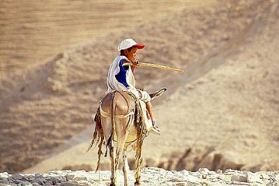 Autore: Alessandro Colomberotto
Titolo: Israele
Anno: 1998
