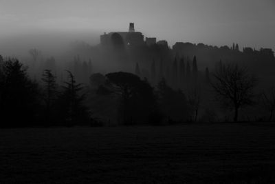 Autore: Alberto Garettini
Titolo: Finalmente la nebbia 3!!!
Anno: 2014
